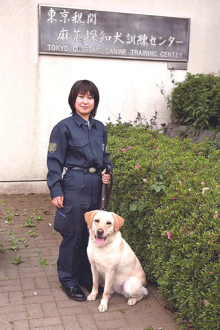 東京税関麻薬探知犬訓練センター 吉田 千春さん